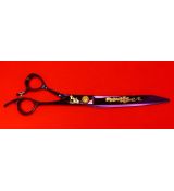American Cocker oblé 8,0 "